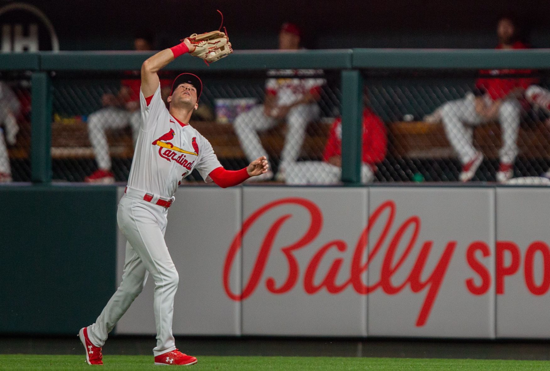 Cardinals look for win against Giants